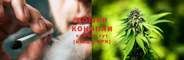 трава Магадан