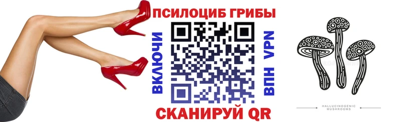 где можно купить   Заволжск  Псилоцибиновые грибы прущие грибы 